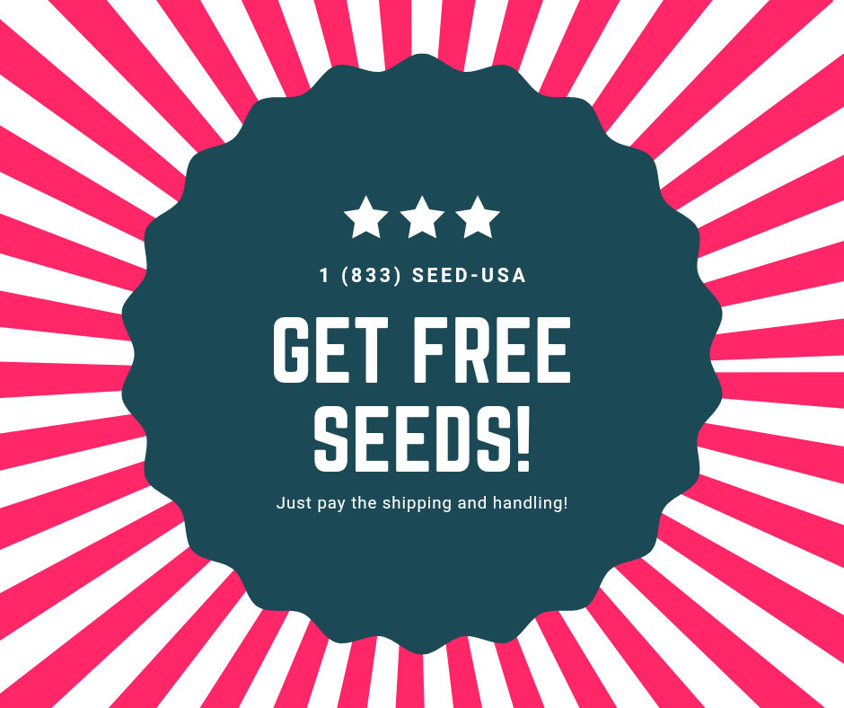 FREE CANNABIS SEEDS - 10 PACK