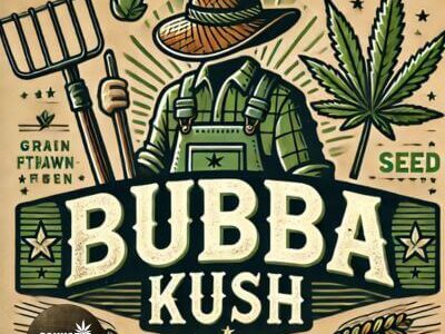 bubba kush seeds, BUBBLE GUM, buy cannabis seeds, cbd marijuana seeds, cookies cannabis seeds