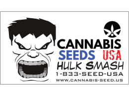 Northwest Cannabis Seeds best varieties, review
