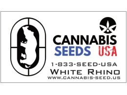 Sensi Seeds feminized seeds, cannabis seeds