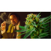 Oregon Elite Seeds autoflowering seeds, seeds online