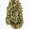 jack-herer-strain, weed seeds, ganja seeds, pot seeds, marijuana seeds, cannabis seeds usa