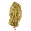 jack-herer-strain, weed seeds, ganja seeds, pot seeds, marijuana seeds, cannabis seeds usa