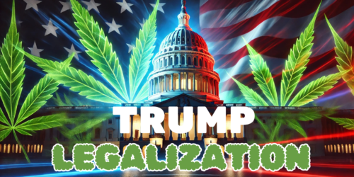 Trump legalization, cannabis legalization, marijuana legalization, federal legalization