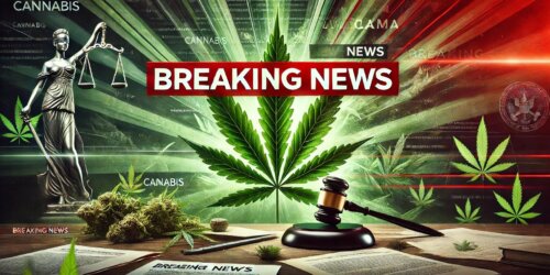 breaking cannabis news