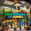 how to grow marijuana at home