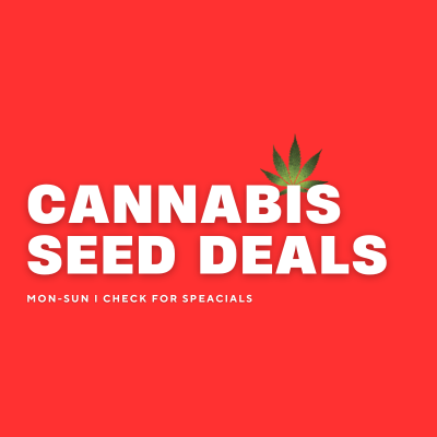 Cannabis Seed Deals, Coupons, BOGO, Free Seeds & More, Cannabis Seed USA, Cannabis Seed Deals - Coupons, BOGO, Free Seeds & More