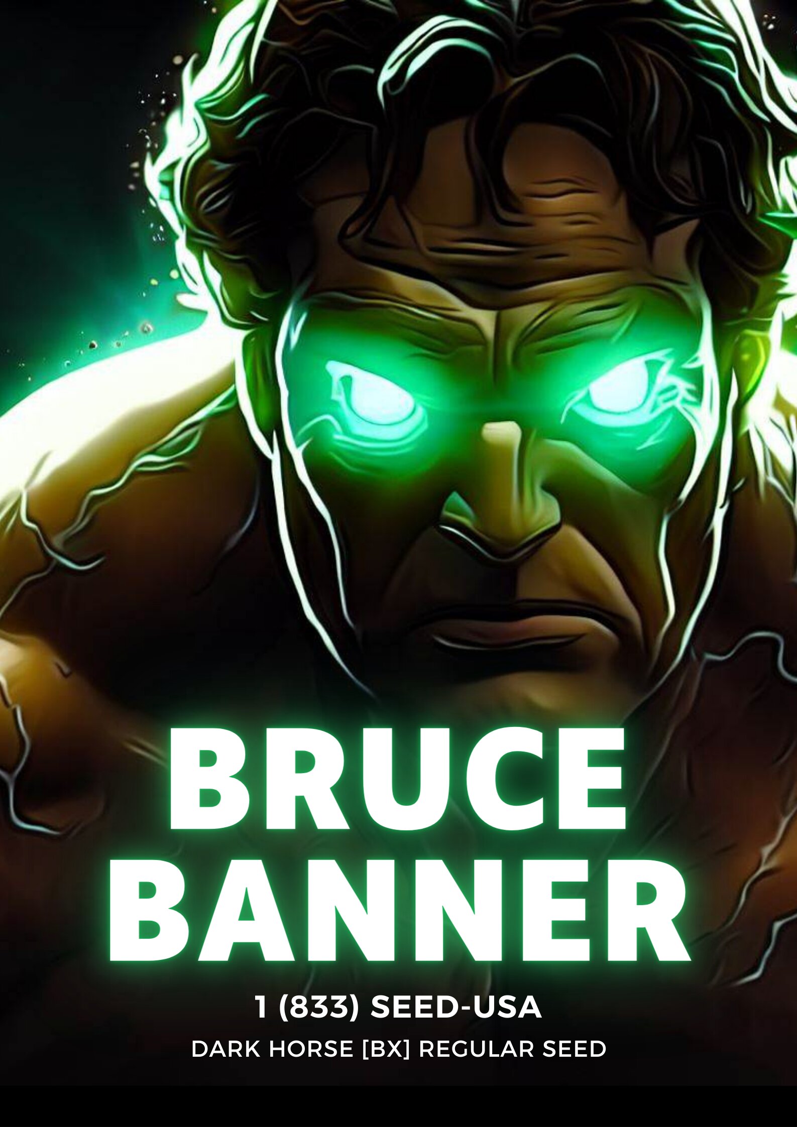 Bruce Banner – 10 PACK