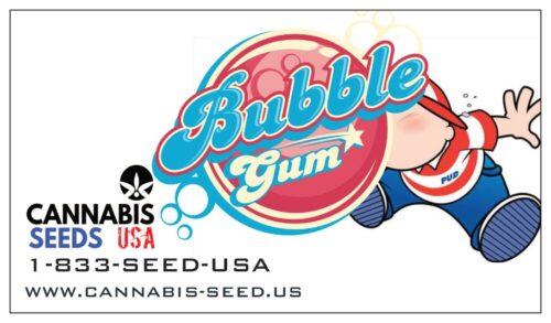 BUBBLEGUM (CBD HYBRID) – 100 PACK